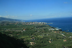 Blick auf Puerto de la Cruz