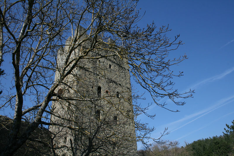 20080401_160309.jpg - Der Burgturm