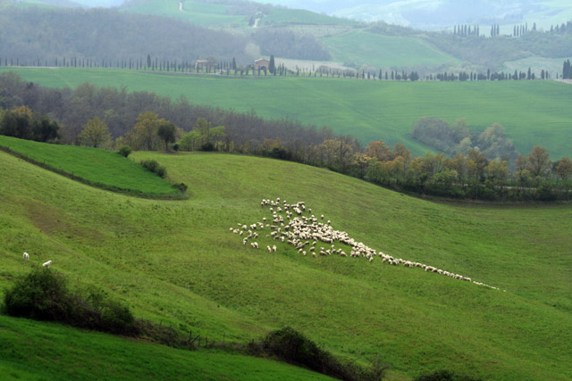 20080408_143244.jpg - Bei Leonina