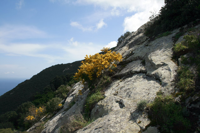 20080414_143242.jpg - Giglio