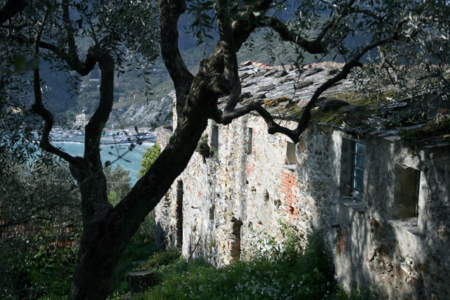 20080415_180324.jpg - Cinque Terre