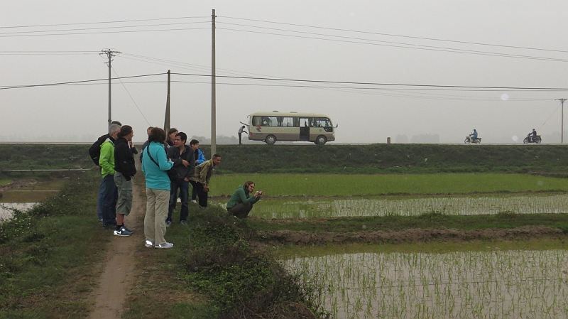 2014-03-17_09-32-44_vietnam2014.jpg - Reisfelder auf der Fahrt nach Ha Long