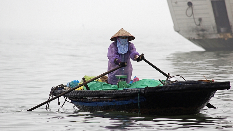 2014-03-19_11-54-32_vietnam2014.jpg - Im Hafen von Ha Long