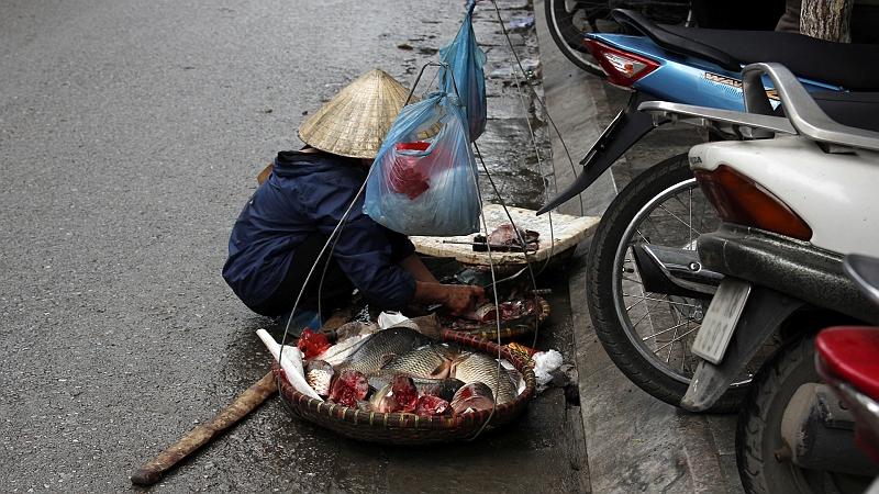 2014-03-20_10-06-05_vietnam2014.jpg - Straenverkauf - Fisch