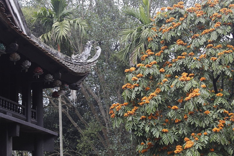 2014-03-20_15-32-23_vietnam2014.jpg - Im Park beim Ho-Chi-Minh-Mausoleum