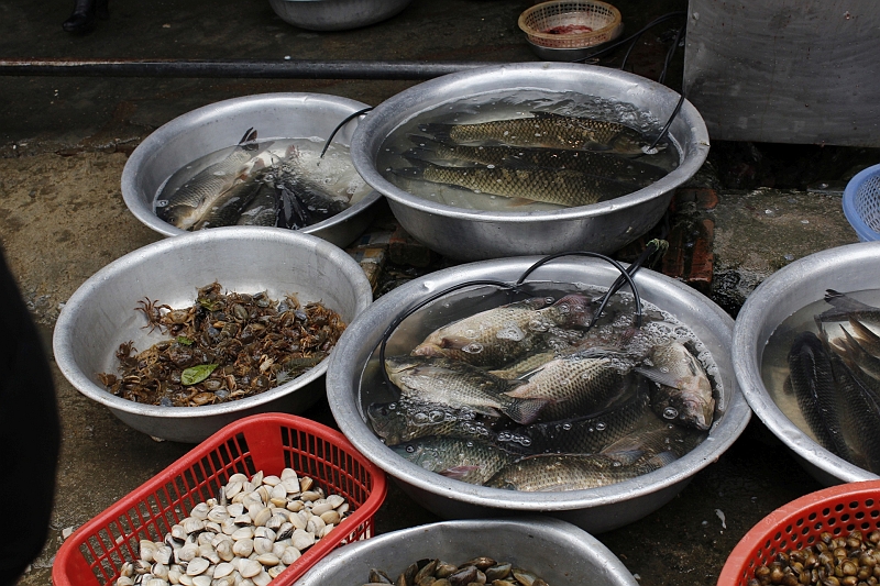 2014-03-21_10-32-00_vietnam2014.jpg - Sa Pa - Markt