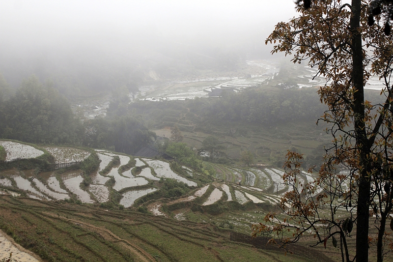 2014-03-22_11-01-26_vietnam2014.jpg - Wanderung durchs Muong Hoa Tal