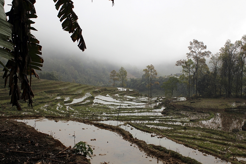 2014-03-22_11-05-58_vietnam2014.jpg - Wanderung durchs Muong Hoa Tal