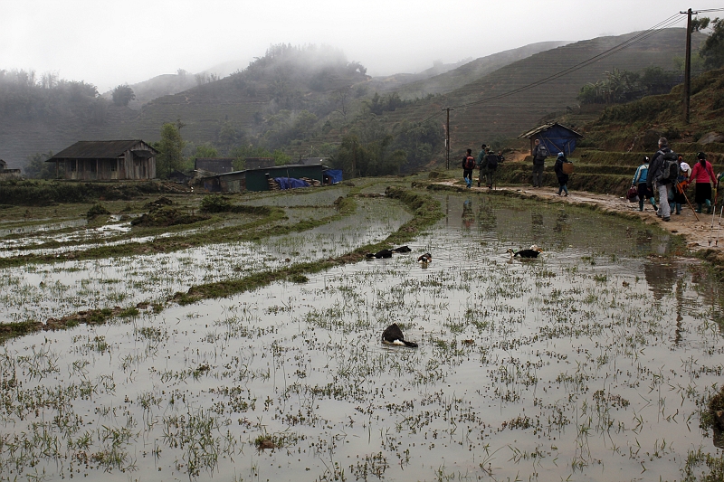 2014-03-22_11-23-03_vietnam2014.jpg - Wanderung durchs Muong Hoa Tal