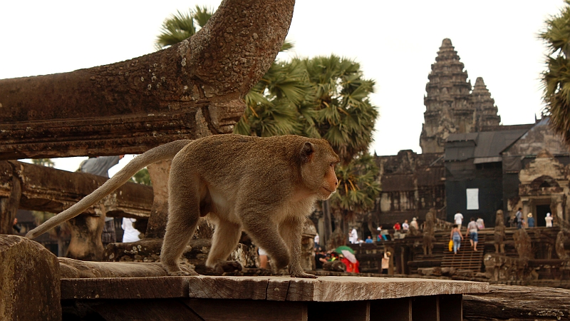 5-angkor-wat-26.jpg - Angkor Wat