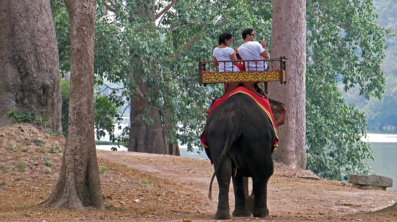 5-angkor-wat-50.jpg - Es ginge auch ohne Fahrrad ...