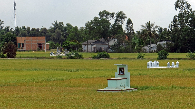 6-mekong-01.jpg - Grber in den Reisfeldern