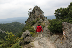 Vogelbergsteig